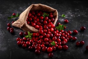 A bag of ripe, fresh cranberries that are said to be safe for your canine.