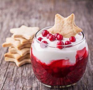 Parfait in a cup with Greek yogurt for the Holidays