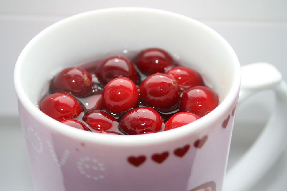 Homemade cranberry tea with berries floating on top