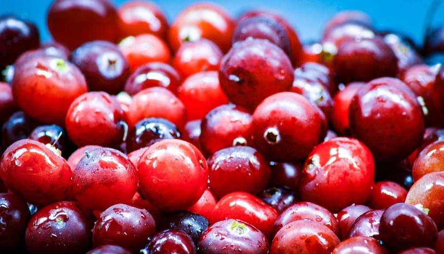 A pile of deep red, fresh cranberries.