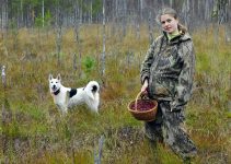 A dog owner takes a walk in the cranberry bog with her dog.
