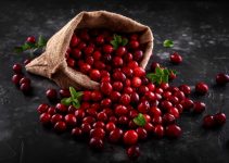 A bag of ripe, fresh cranberries that are said to be good to eat.