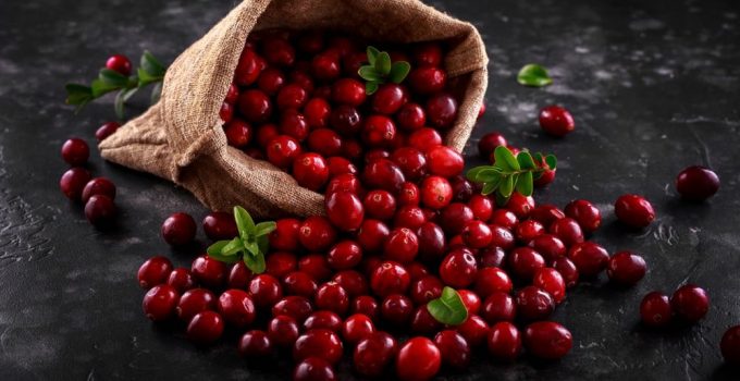 A bag of ripe, fresh cranberries that are said to be good to eat.