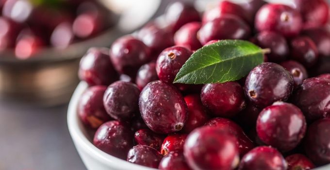A bowl of raw, fresh cranberries without any animal products in it.