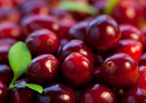 The health and nutritional benefits of this juicy, red and ripe berry for men and women.