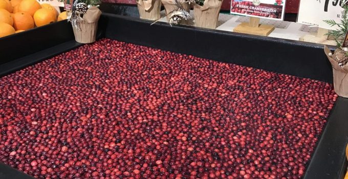Where to find cranberries in store?