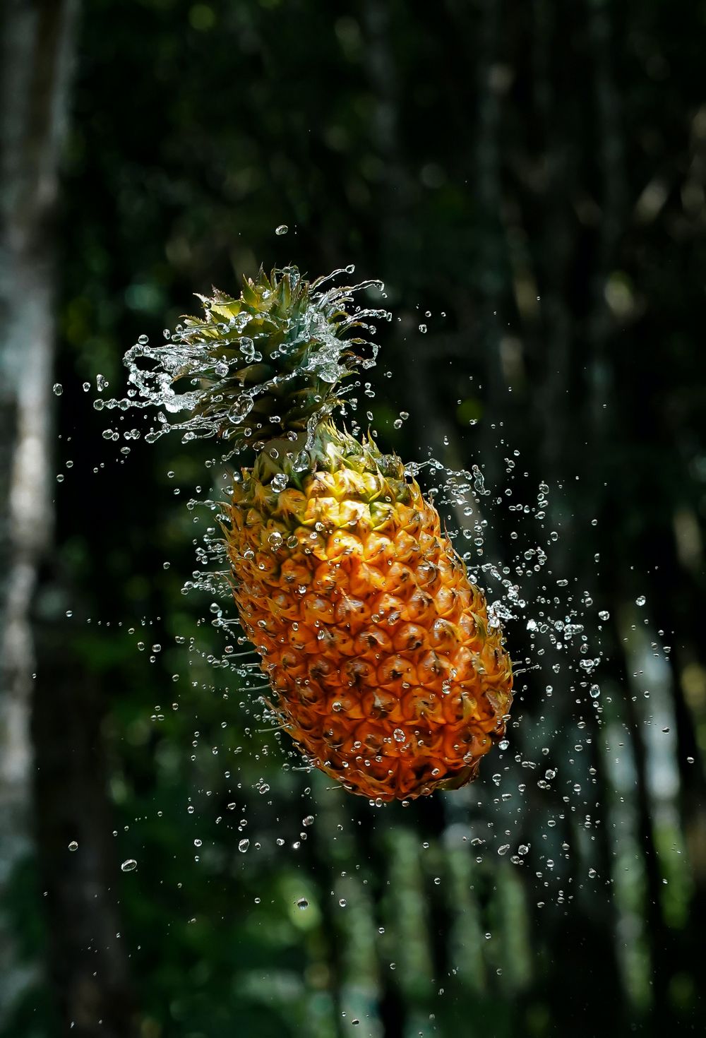 Cranberries & Pineapples are both good For … Cranby