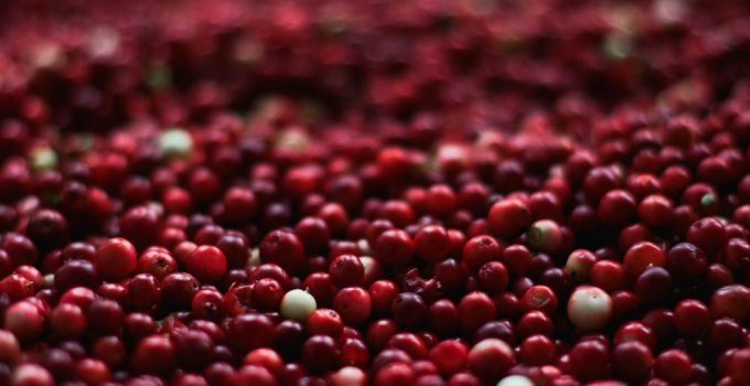 What are Cranberries good for?