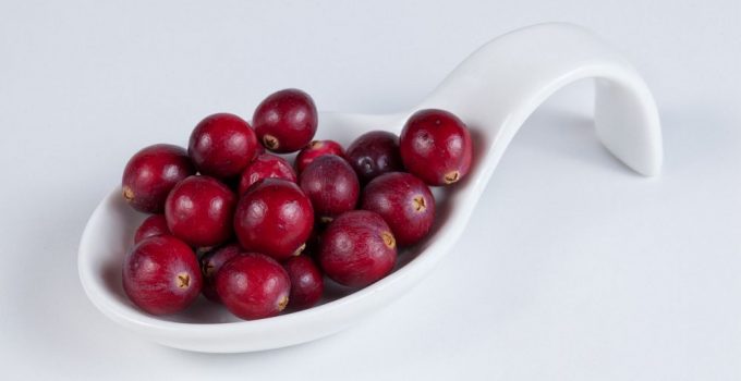 Fresh Cranberries in a spoon.