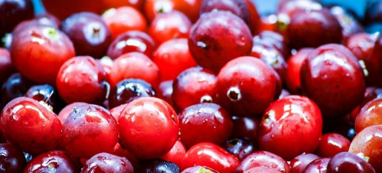 A pile of deep red, fresh cranberries.